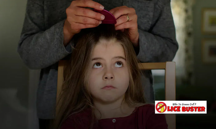 How to Choose the Best Lice Removal Treatment for Your Family