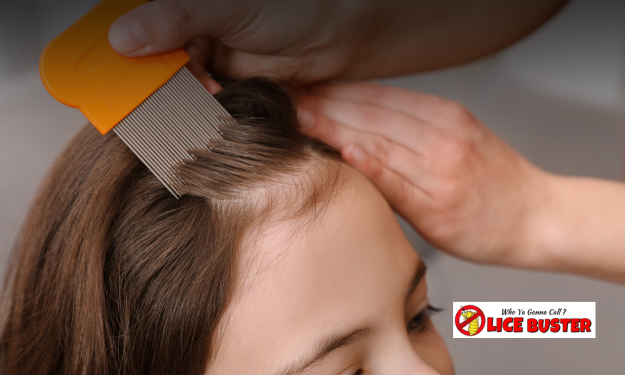 Head Lice: What Parents Need to Know (From Ontario's Bug Busters)