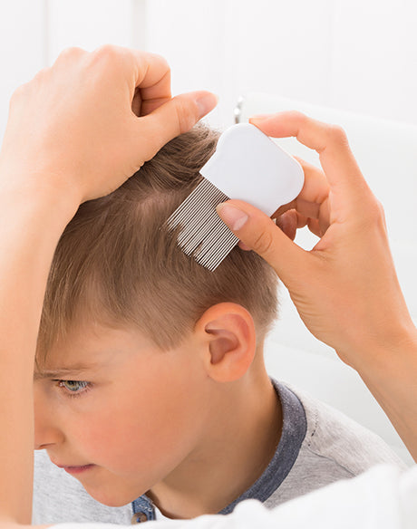 lice professional combing through a young boys short hair